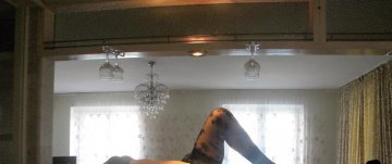 Роза: проститутки индивидуалки в Ростове на Дону